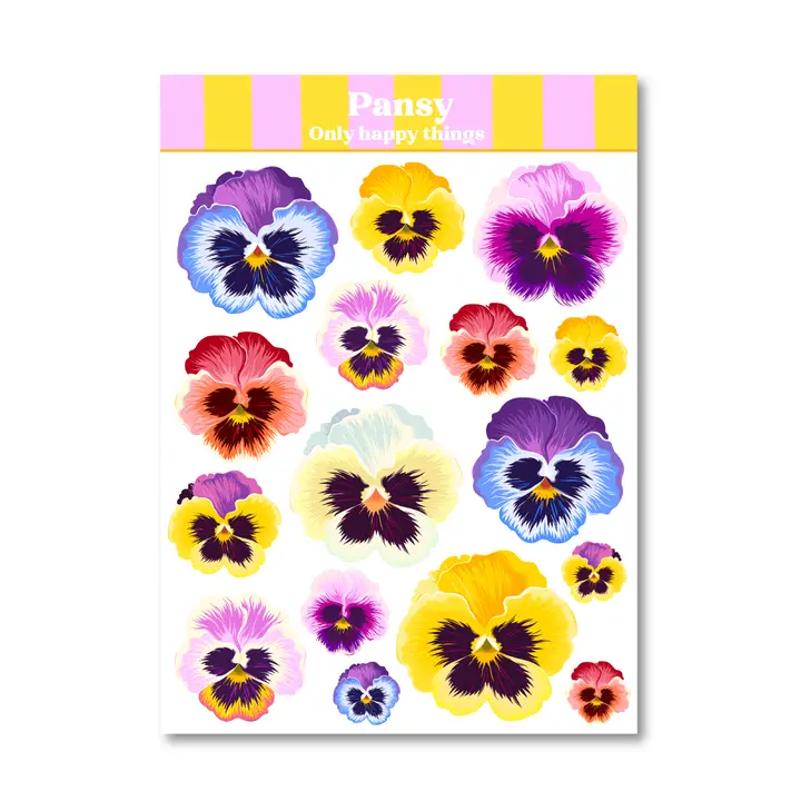 Tarra-arkki Pansy A6