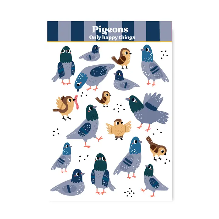 Tarra-arkki Pigeons A6
