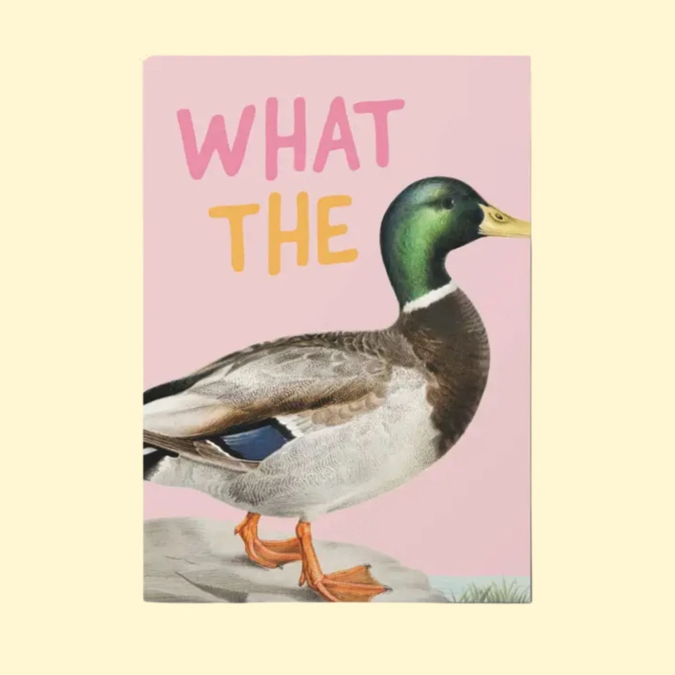Postikortti What the Duck
