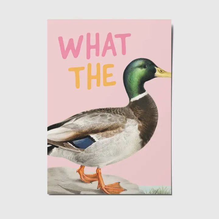 Postikortti What the Duck