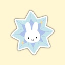 Tarra Star Bunny
