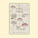 Tarra-arkki Mushrooms A6