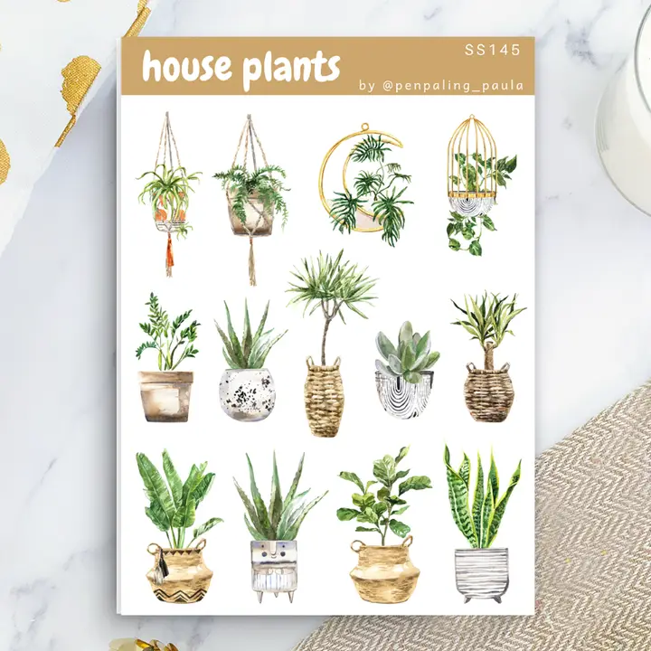 Tarra-arkki House Plants A6