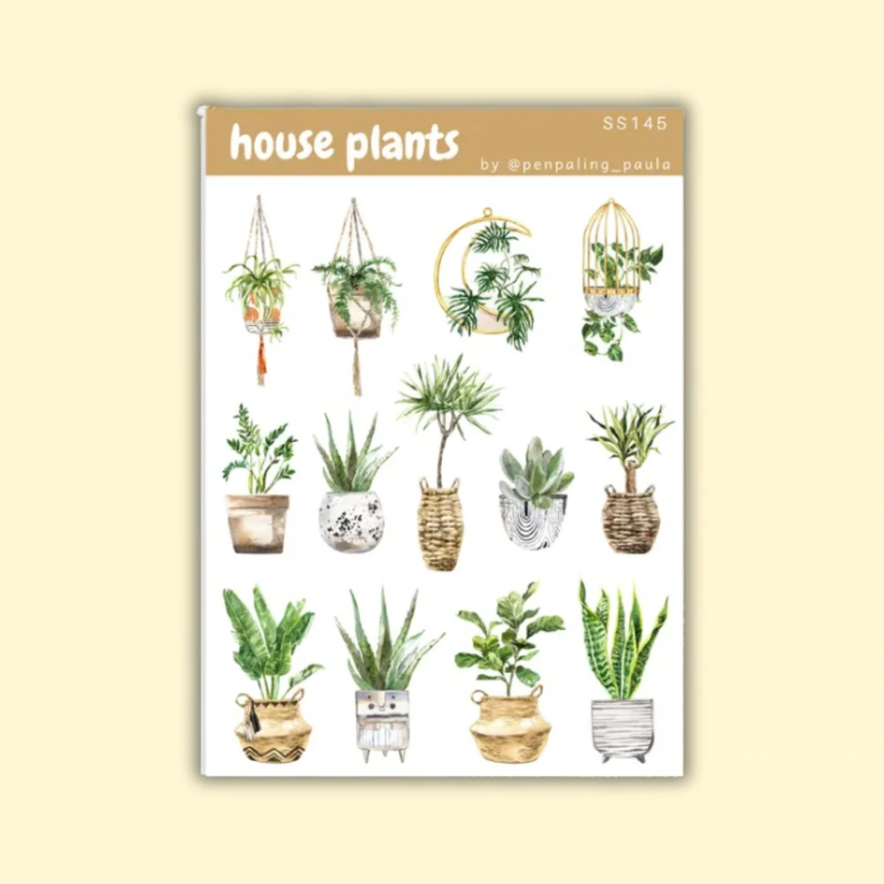 Tarra-arkki House Plants A6