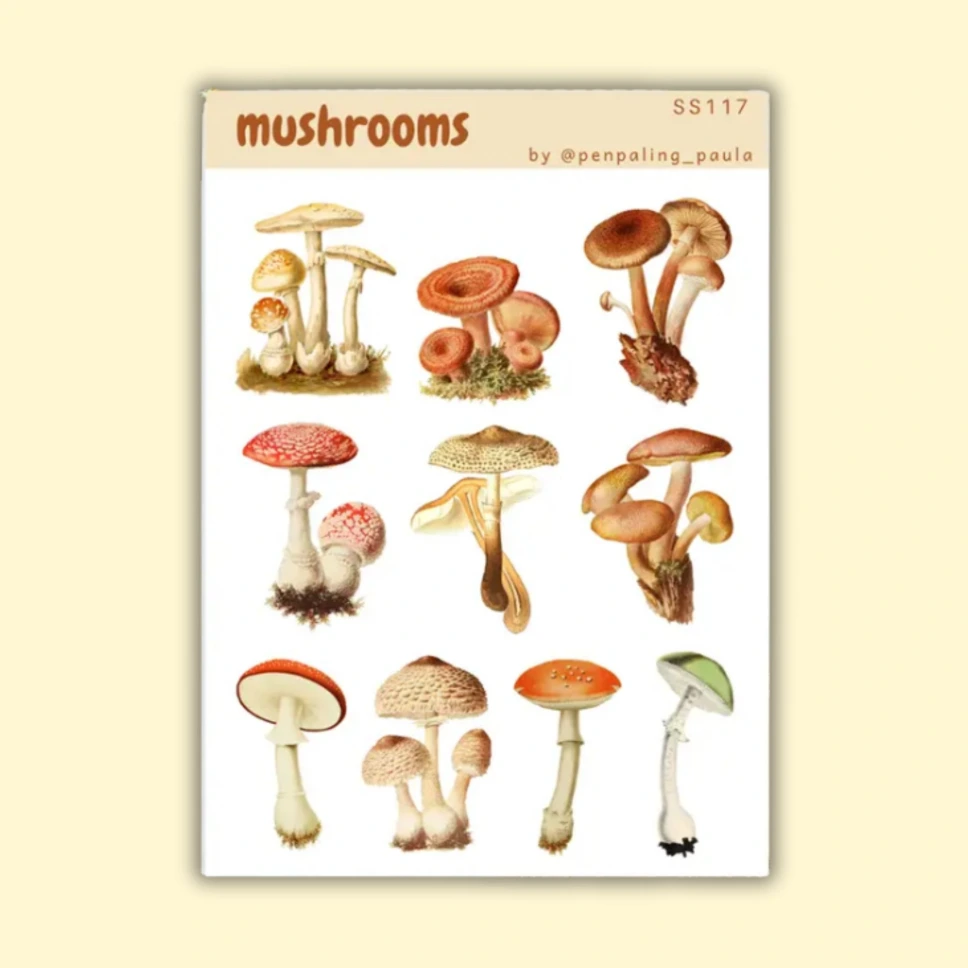 Tarra-arkki Mushrooms A6