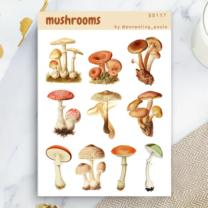 Tarra-arkki Mushrooms A6